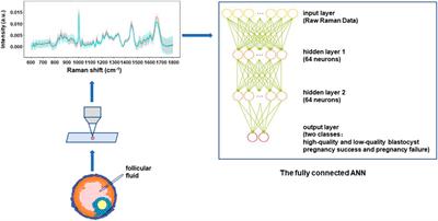 Raman Spectrum of Follicular Fluid: A Potential Biomarker for Oocyte Developmental Competence in Polycystic Ovary Syndrome